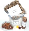 Beetle Breeding Set -Für Käfer
